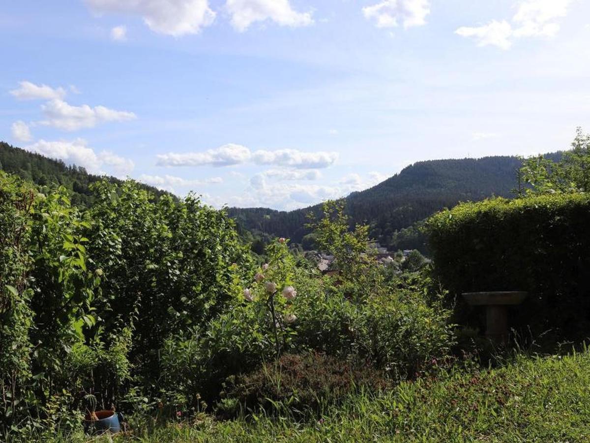 Haus Hoehneck 1 Alpirsbach Dış mekan fotoğraf